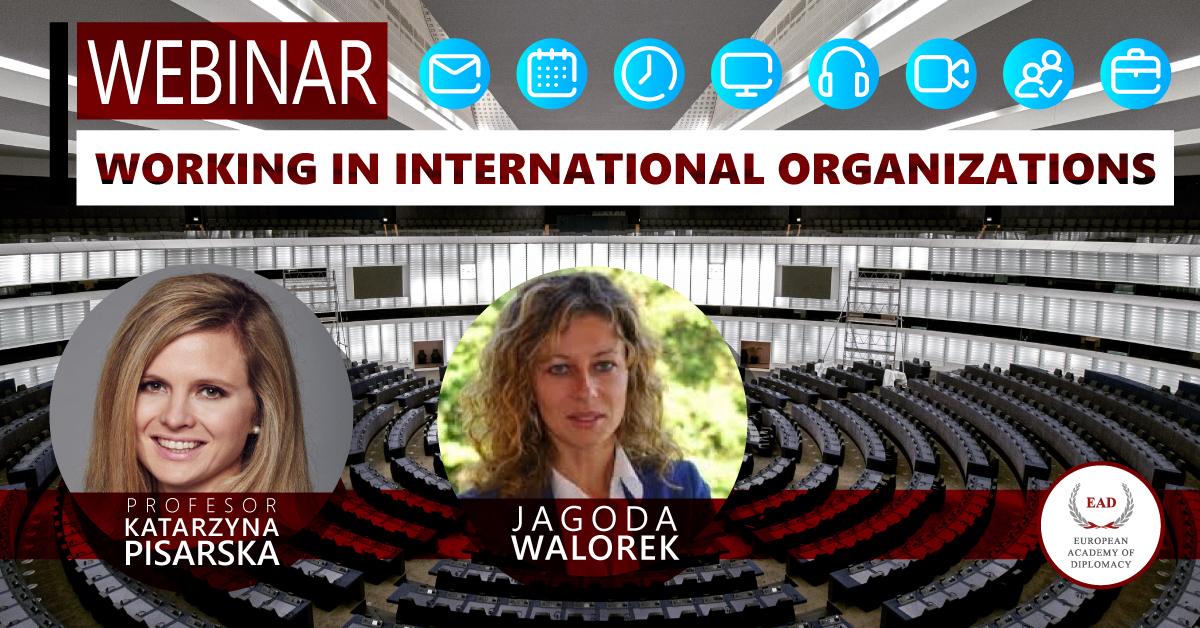 Webinar: Working in International Organizations